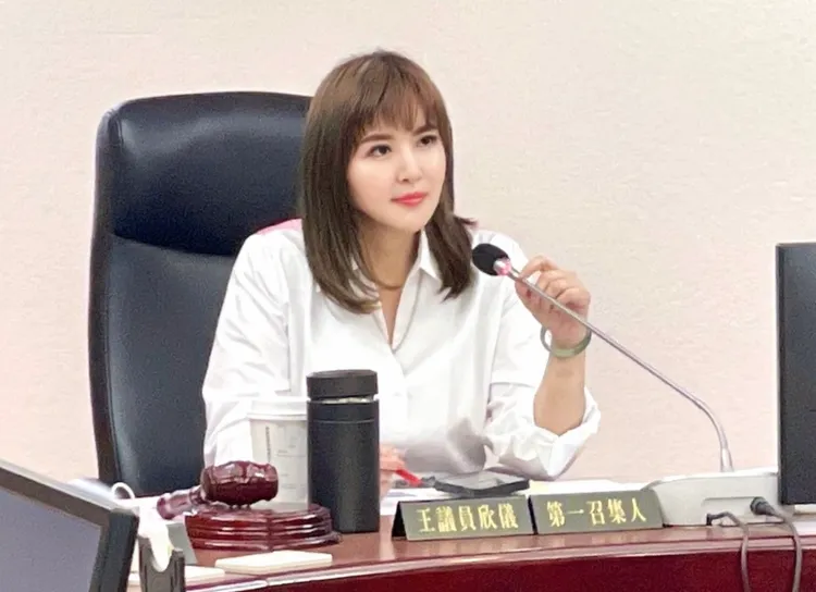 王欣儀財產申報坐擁上億元資產，成為藍陣營中的「億萬富豪」。王欣儀辦公室提供