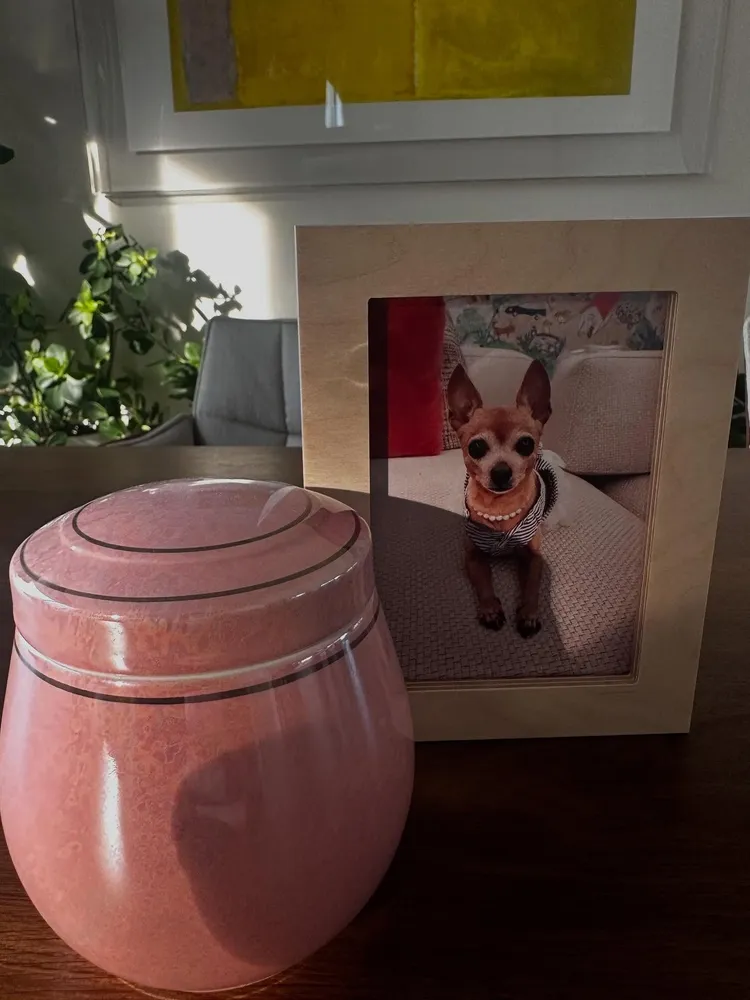 李敏鎬慟別心愛的Choco。翻攝李敏鎬IG