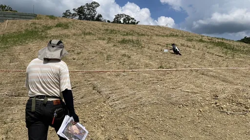 高雄大樹和山光電「山頭剷禿」 業者技師遭收押!還有共犯未到案
