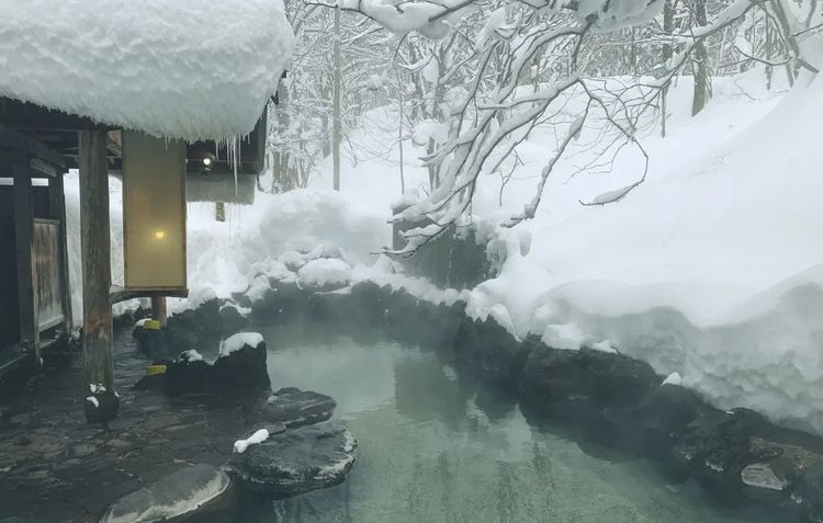 不可以色色！日本旅館臨時切斷「彩虹頻道」有原因