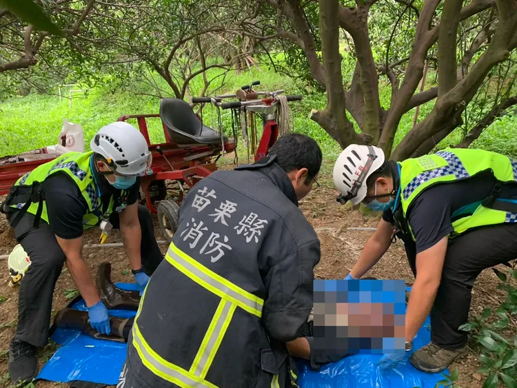 消防人員鋸斷樹木救出老農，但他已無生命跡象。民眾提供