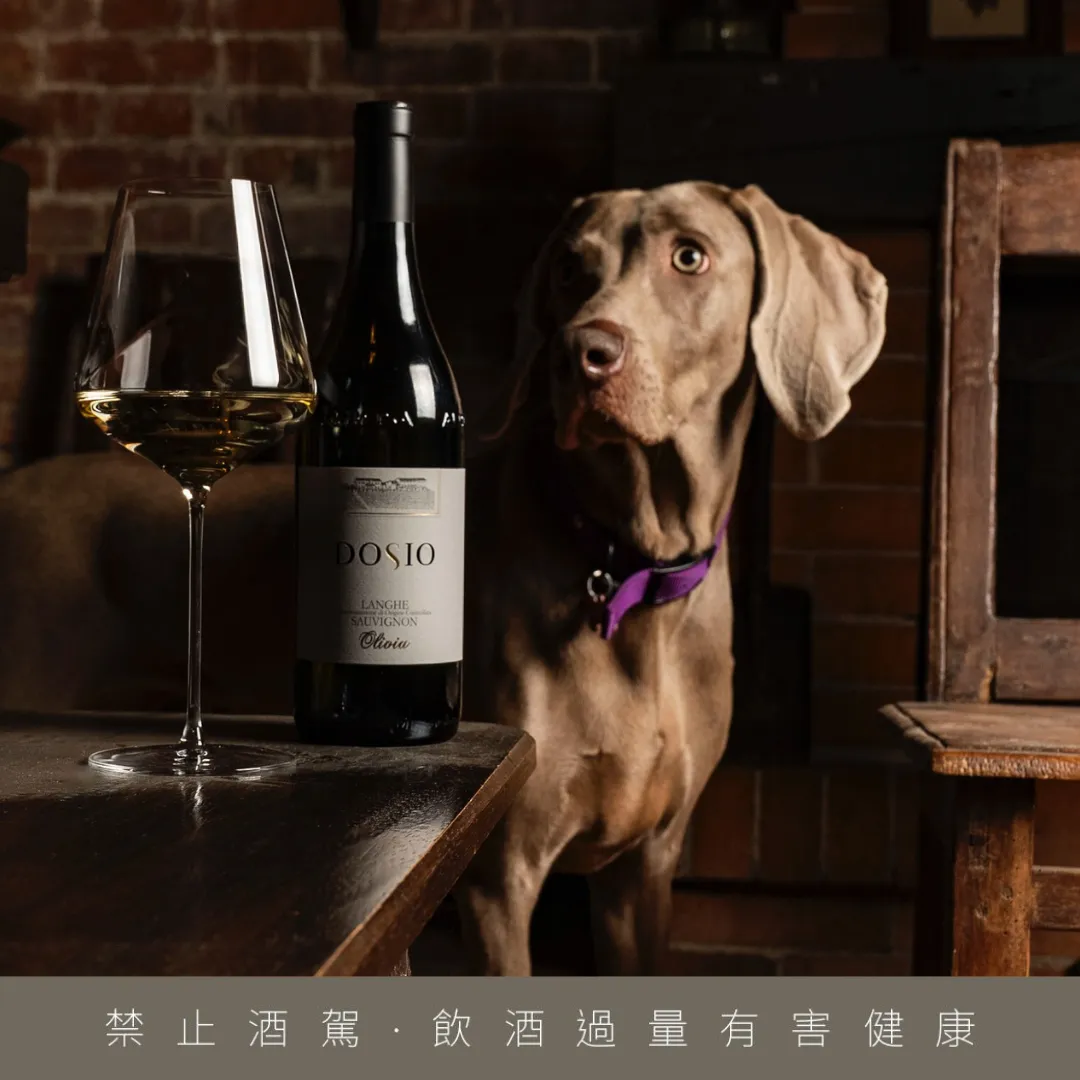 Dosio酒庄推出以兰奇爱犬命名的白酒 Olivia Sauvignon,年产仅1,600瓶,台湾配额仅得百瓶。业者提供