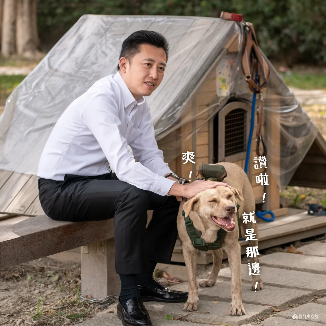 「林智堅遭爆棄養市犬」 新竹市府:開放民眾認養。林智堅臉書