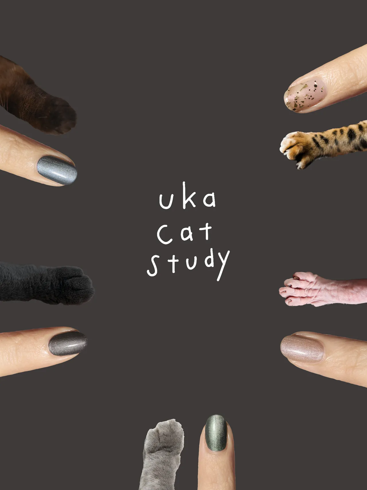 uka Cat Study猫咪漫步系列指甲油形象图相当可爱。品牌提供