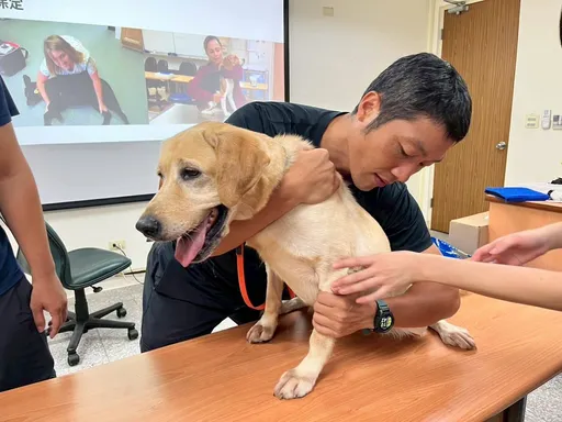北市消防局攜手台大獸醫辦理搜救犬醫療訓練 強化犬隻傷病處置能力