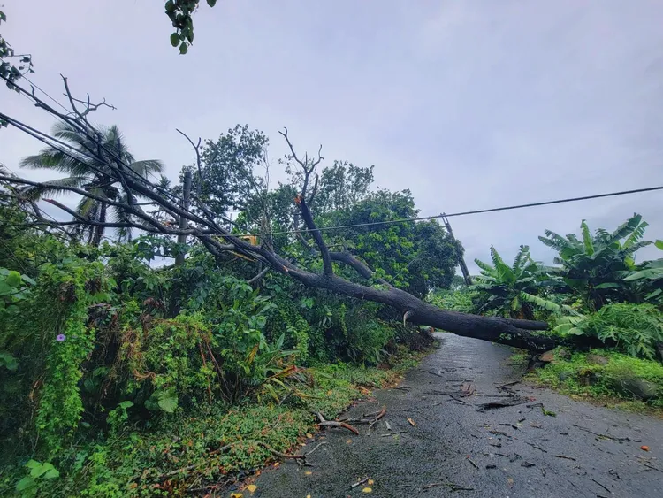 南投山區出現災情。台電南投區處提供