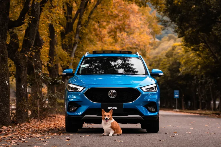 MG ZS 1.5L旗艦版為69.9萬元起，主打中型與小型休旅市場，鎖定追求高配備與入門價格帶的消費者。業者提供