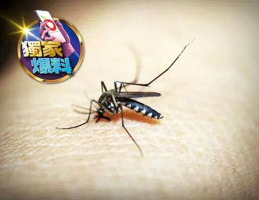 獨家爆料|屏東新增境外移入瘧疾病例!今年已13例 出國去這地區得多注意