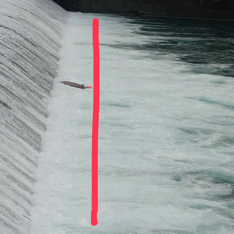 紅線即為沸騰線。翻攝畫面