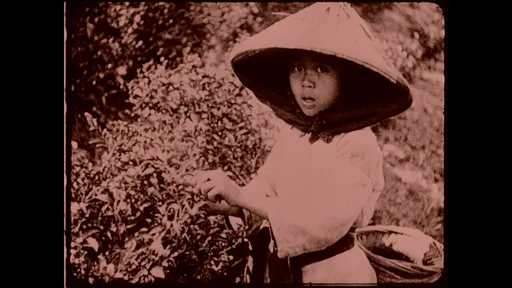 百年前的台湾长这样!105年前电影《福尔摩沙》珍贵影像全公开