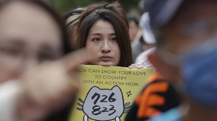 大罷免未通過　美學者：政治極化危害國安朝野需妥協