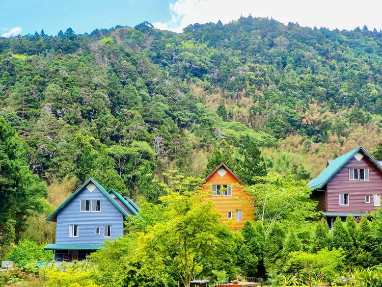 三角屋主體色系吸睛，發揮藝術天份的圖騰，在高山森林哩，讓人深深體會到與自然共存的真意。照片來源得恩亞納鄒族部落FB
