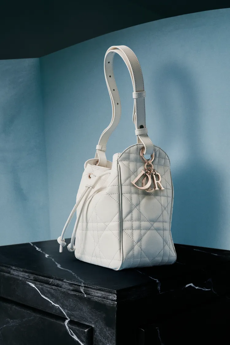 DIOR全新D-Motion包。品牌提供