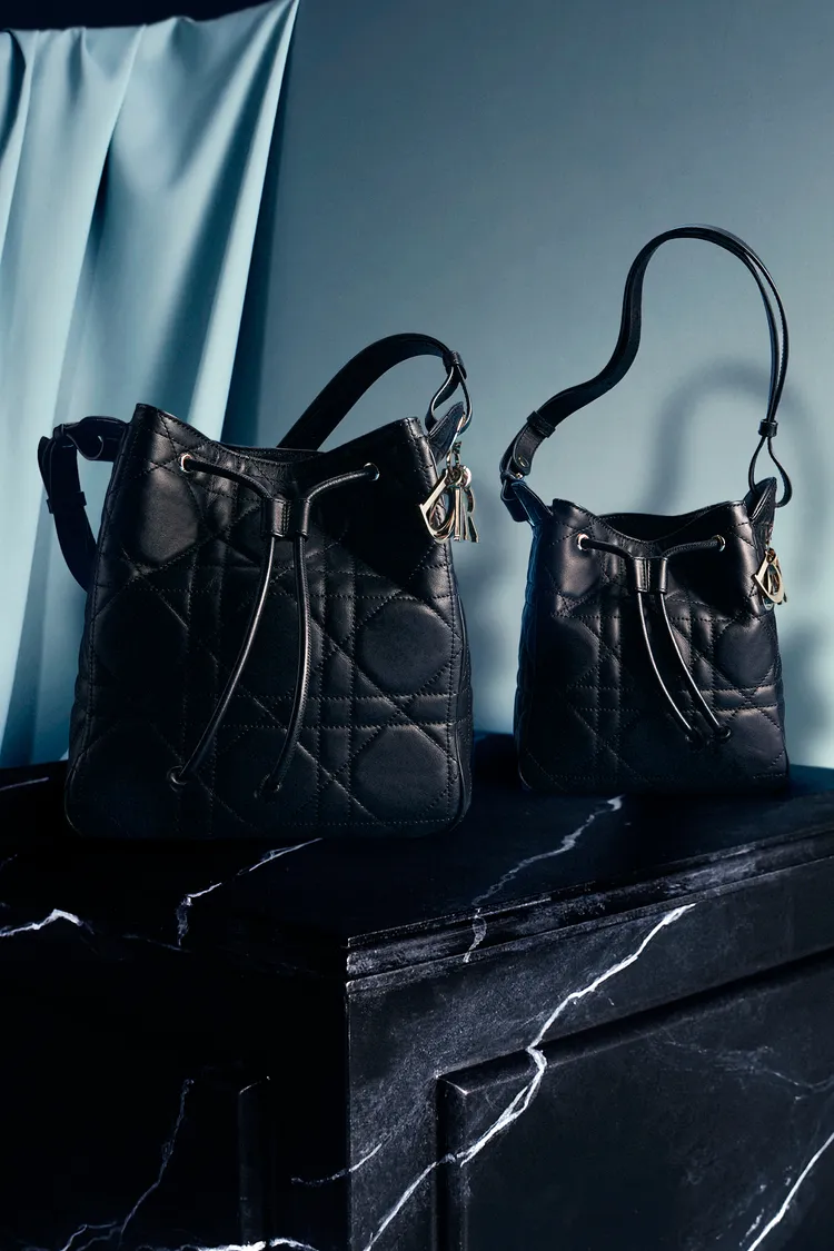 DIOR全新D-Motion包。品牌提供