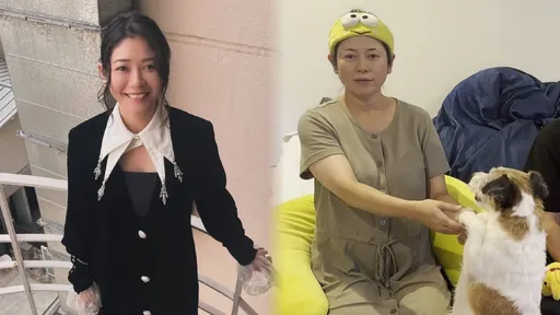 42岁真木阳子同居小16岁男星 认了怀孕「近乎奇迹」