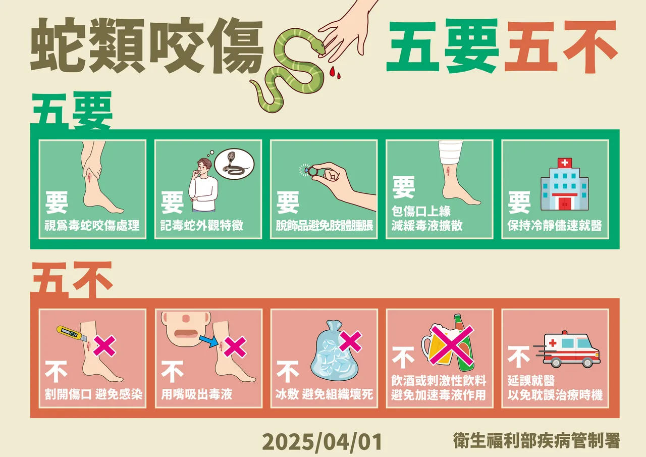 蛇类咬伤五要五不。疾管署提供