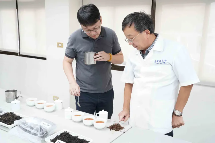 三峽區農會日前辦理新北市蜜香紅茶比賽結果出爐。農業局提供