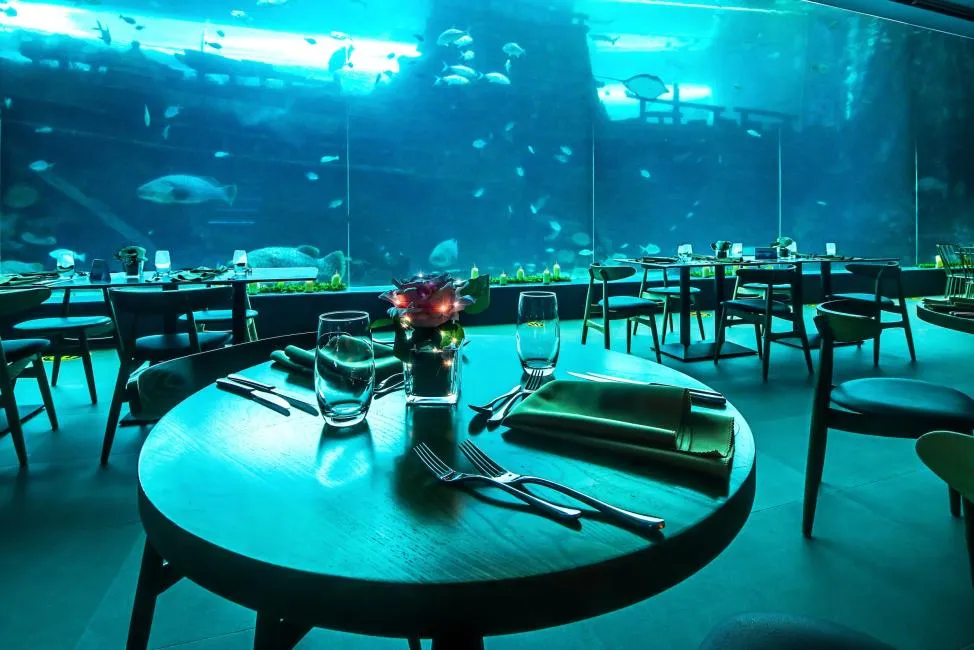 菲律宾海底餐厅Aqua Dining可体验独特用餐环境。KKday提供