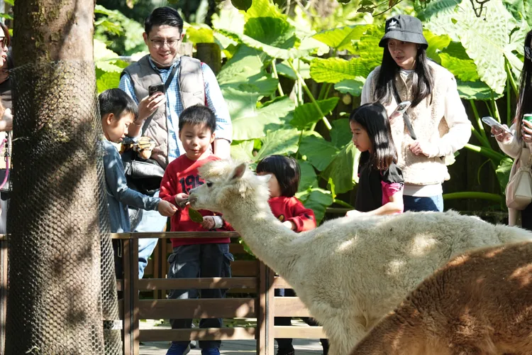 今年暑假動物園白天、夜晚活動不間斷。彭欣偉攝
