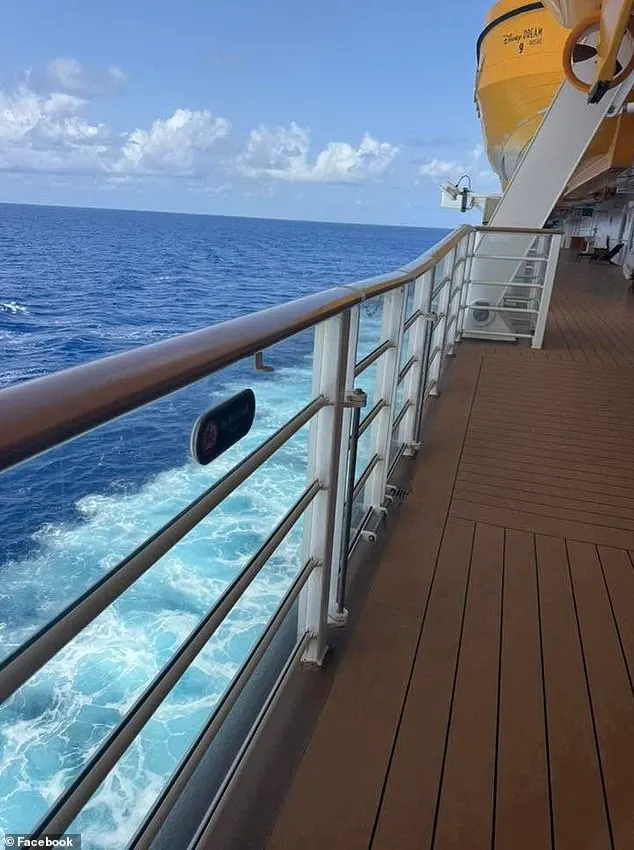 事發的第四層甲板設有跑步道，欄杆高達108公分，前方裝有壓克力防護板。翻攝網路
