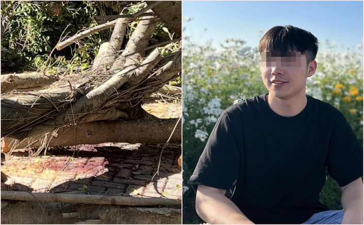 逢甲大學樹倒壓死學生！母親痛訴校方：草菅人命