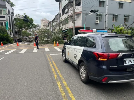 台中路树突倒塌!横躺马路阻交通 波及3汽机车幸无人伤
