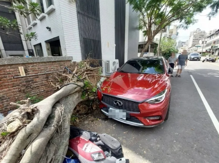 路樹倒塌波及路邊停放的1轎車、2機車。民眾提供