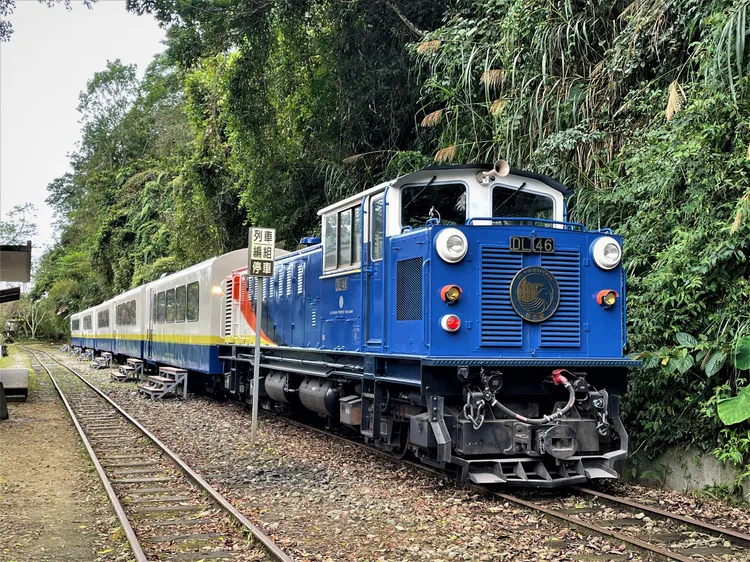 阿里山林鐵改裝列車「栩悅號」。林鐵及文資處提供