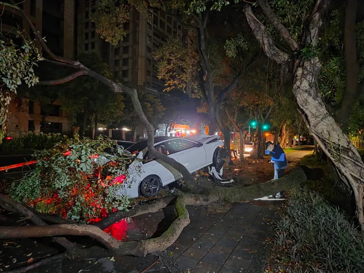 肇事的賓士車直接撞到多元計程車旁路樹，張男無辜遭撞身亡。翻攝畫面