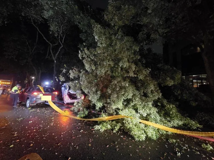 肇事的賓士車直接撞到多元計程車旁路樹，張男無辜遭撞身亡。翻攝畫面