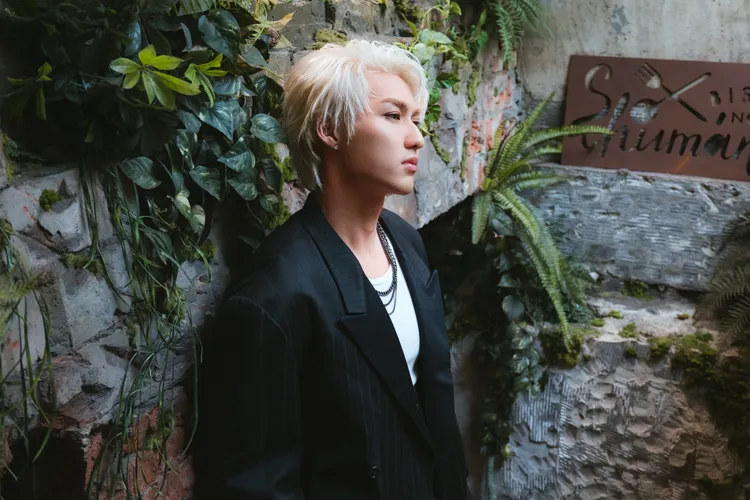 薛恩單飛壓力大破表，自爆4病纏身。華納音樂提供