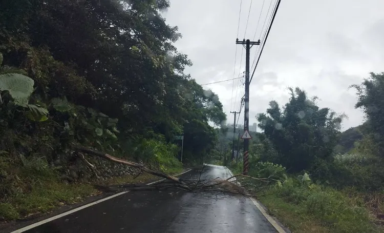 路樹倒塌阻礙交通。龍潭警分局提供