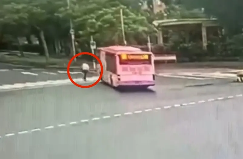 公車疑注意左側行人,直接穿越斑馬線釀成死亡車禍。翻攝畫面