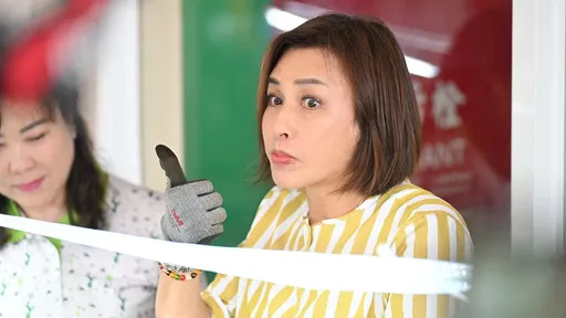剀剀条款「绿委只有她投赞成」 发声明道歉了