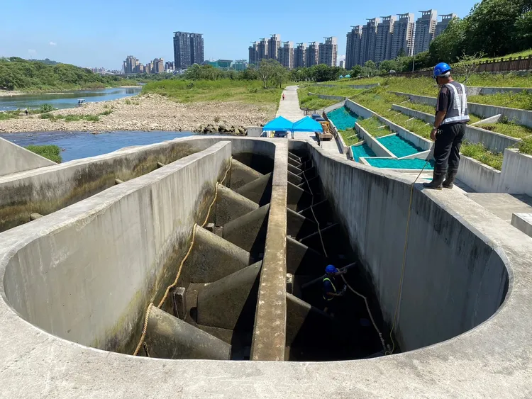 魚道內麻繩直徑3.8公分、長度超過132公尺，讓小毛蟹們能藉由「繩助攻」輕鬆攀爬越過堰。水利局提供