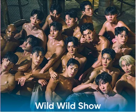 韓國火熱猛男秀《WILD WILD SHOW》，原裝原汁原味猛男秀將於南山之夜火熱登場。業者提供