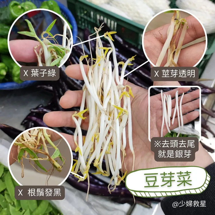 豆芽菜。翻攝自廖炯程臉書