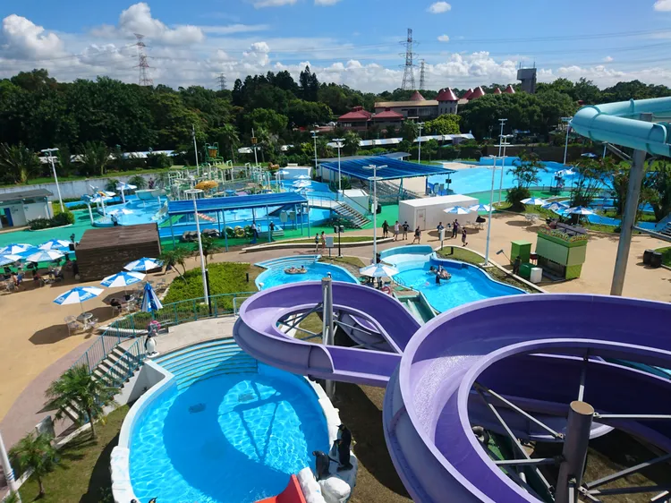 身分證號、出生年月或戶籍地址有8、1、0任一碼，也能享樂園等門票近半價優惠。六福村提供