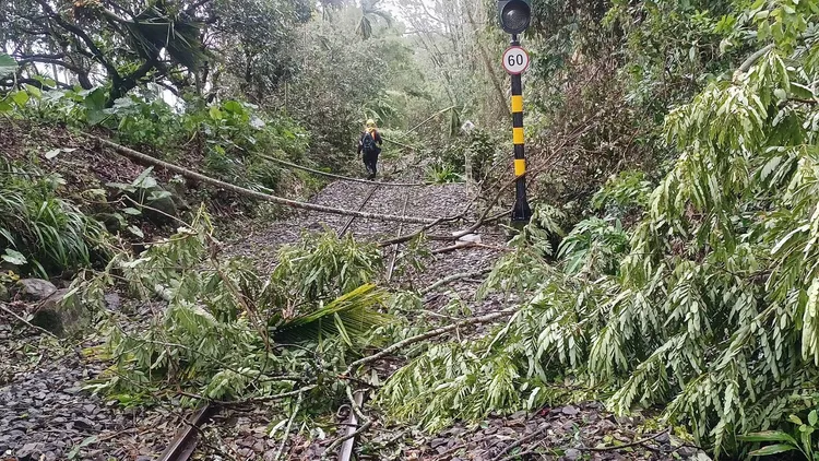 北門車站至十字路車站之間，目前尚有96處倒樹、倒竹持續清理中，圖為獨立山段30K+600。翻攝畫面