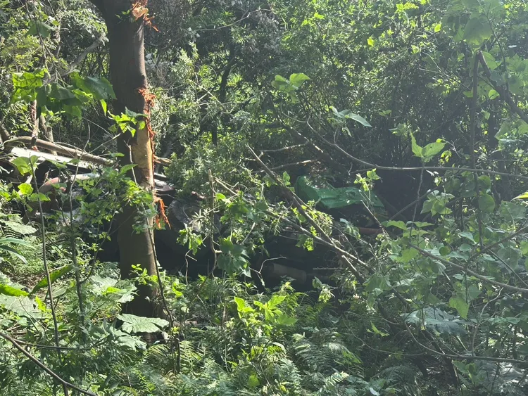 預拌混凝土車墜落邊坡。翻攝畫面