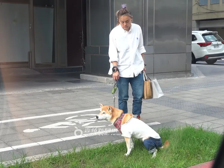 Afuri選了塊風水寶地準備解放。特勤中心攝