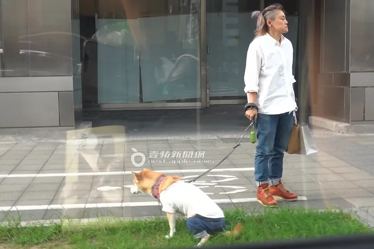 經紀人耐心牽著Afuri等牠解放。特勤中心攝