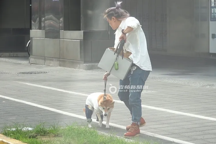 Afuri往人行道草地前進。特勤中心攝