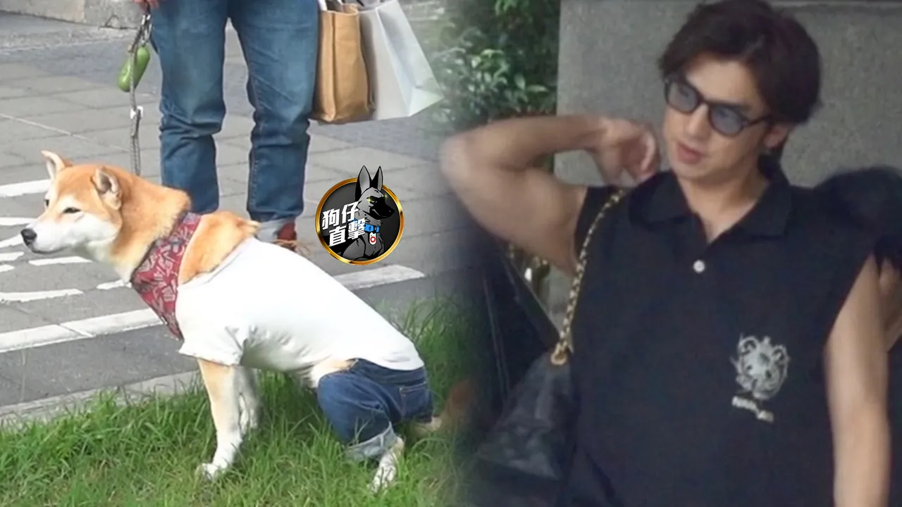 陳柏霖背香奈兒包有反差萌,狗女兒在街上人行道草皮解放。特勤中心攝