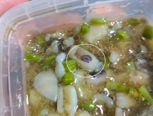 買芥末章魚吃一看有藍環... 已吃下肚當場催吐送醫急救