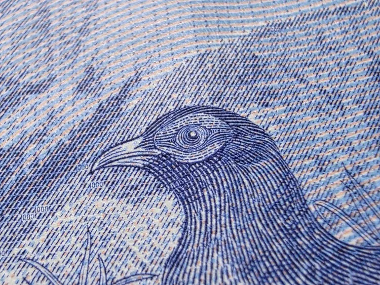 加入了微距拍攝的能力。趙筱文攝