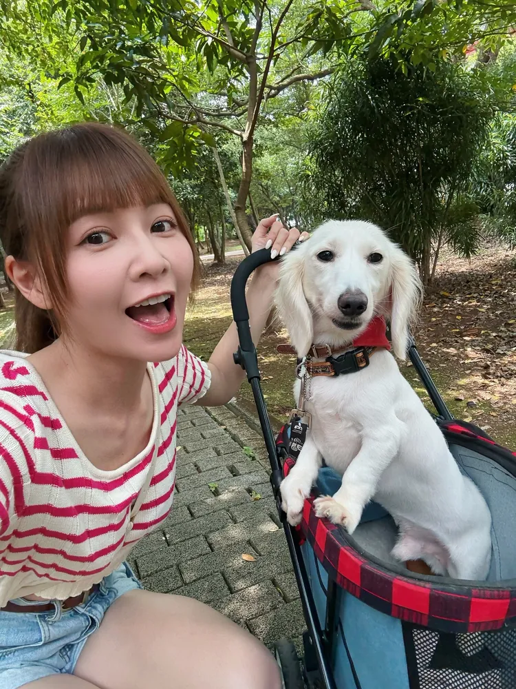 謝京穎戲裡常跟狗互動，家裡愛貓吃醋了。民視提供