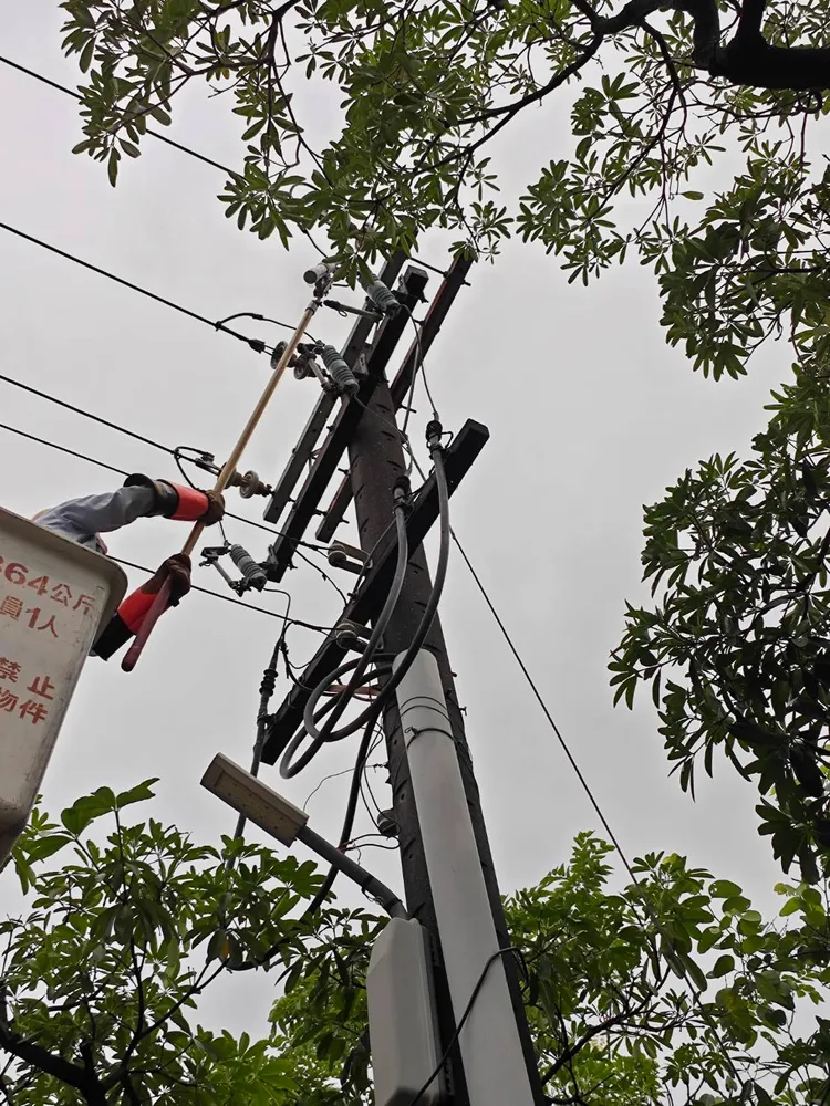 台電同仁於高雄地區進行搶修工作並加強樹木修剪。台電提供