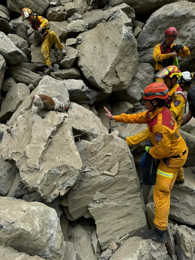 搜救犬Wilson靠著身軀小深入災區找到罹難者。翻攝花蓮縣消防局臉書