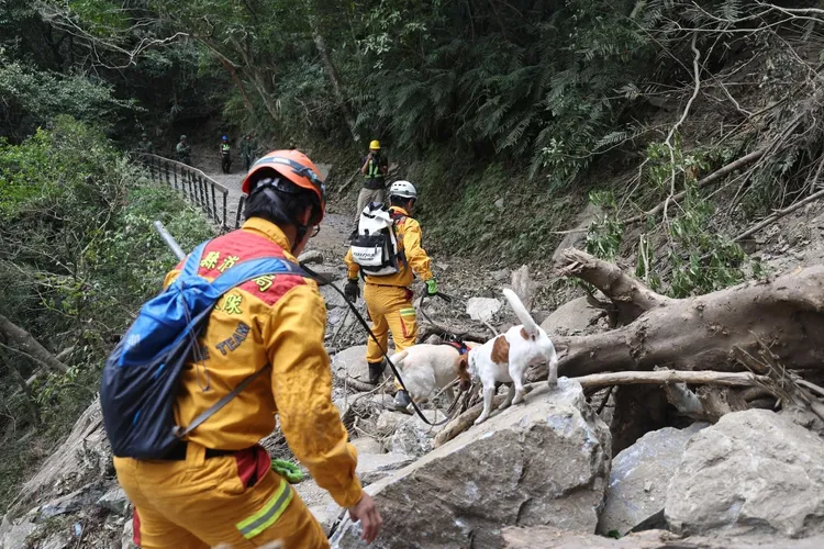 搜救犬Wilson靠著身軀小深入災區找到罹難者。翻攝花蓮縣消防局臉書